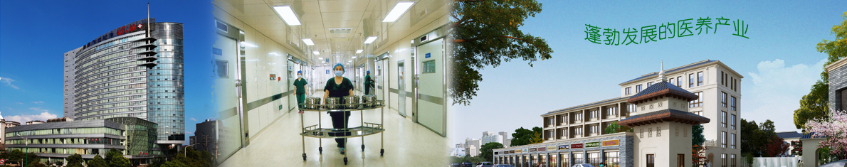 榮譽(yù)資質(zhì)